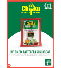 Chipku Melon Fly Lure (Pack of 5)